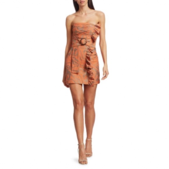 NWT Alexis Nokoma Strapless Cotton Mini Dress XS - Picture 1 of 16